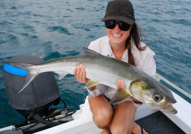 Monster giant herring session!